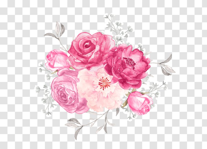 Garden Roses Cut Flowers Floral Design Illustration - Cabbage Rose - Flower Transparent PNG