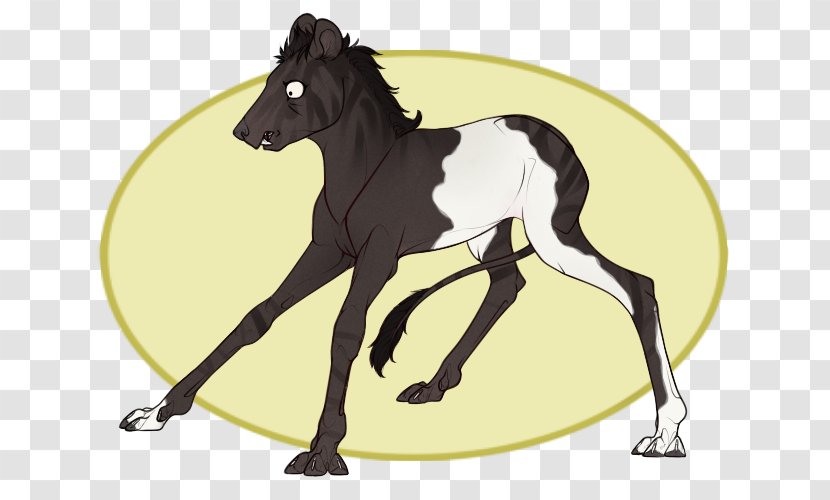 Mustang Foal Stallion Mare Halter - Livestock Transparent PNG