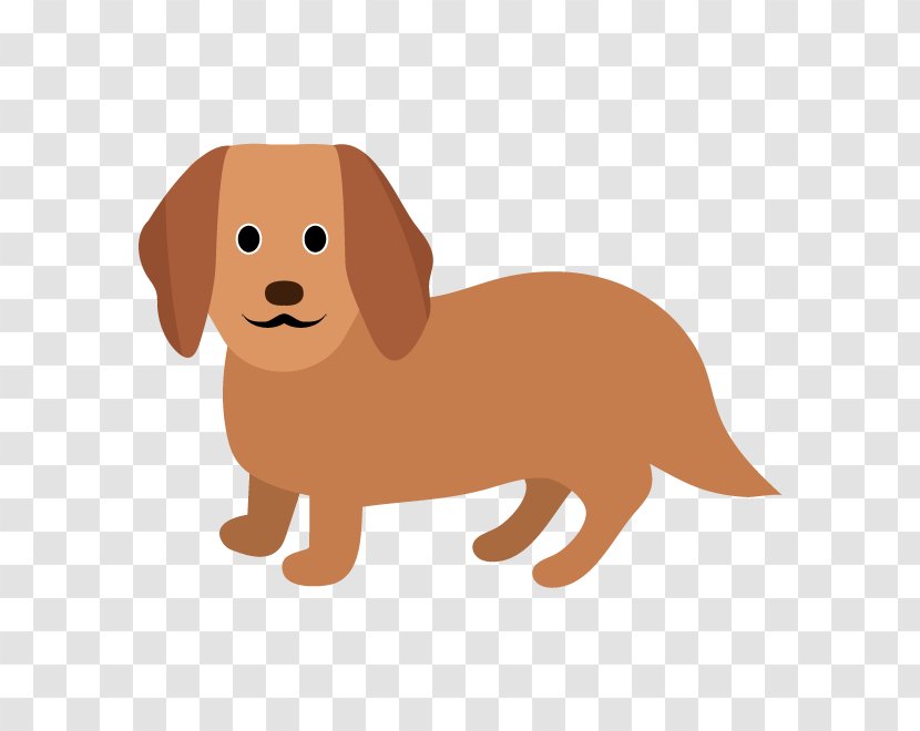 Dachshund Dog Breed Puppy Nova Scotia Duck Tolling Retriever Companion - Vertebrate Transparent PNG