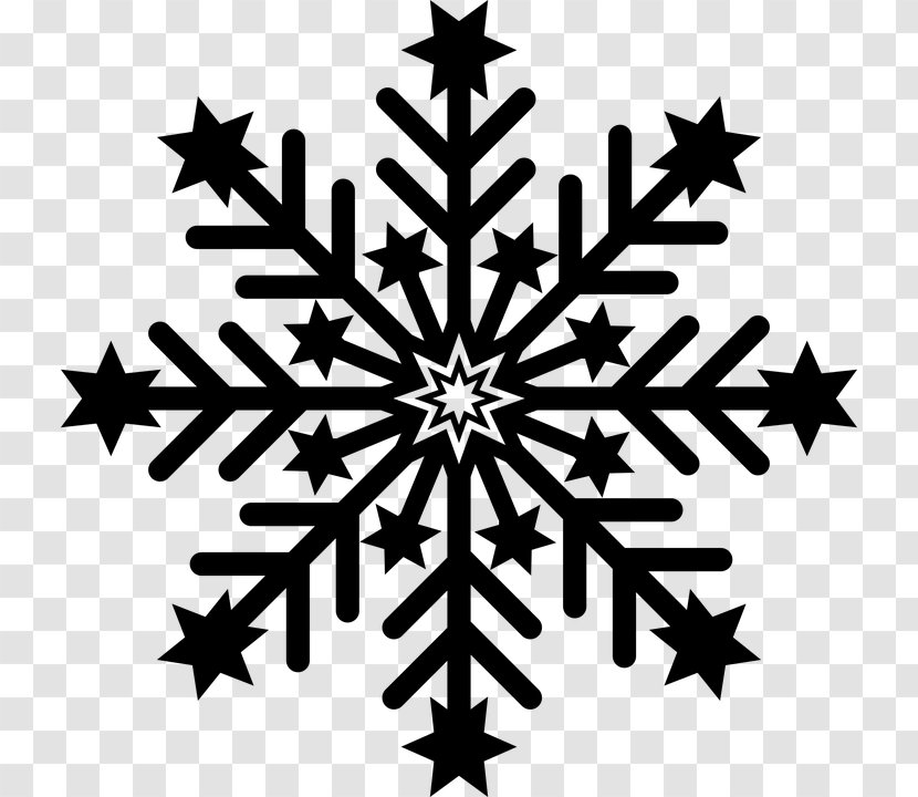 Snow Icon - Logo - Visual Arts Transparent PNG
