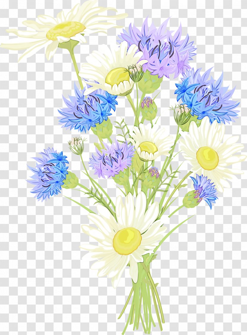 Flowers Background - Aster - Daisy Family Transparent PNG