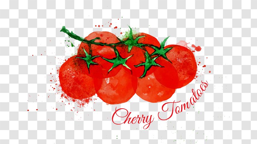 Cherry Tomato Watercolor Painting Lettuce Illustration - Vegetable Transparent PNG