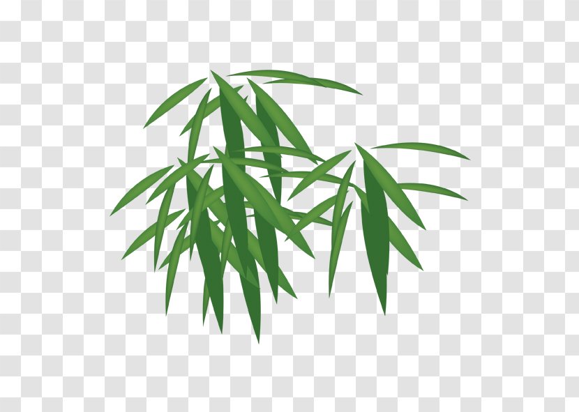 Bamboo Download - Bright Green Leaves Transparent PNG