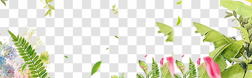 Border Flowers Euclidean Vector - Leaf - Grass Decorative Background Transparent PNG