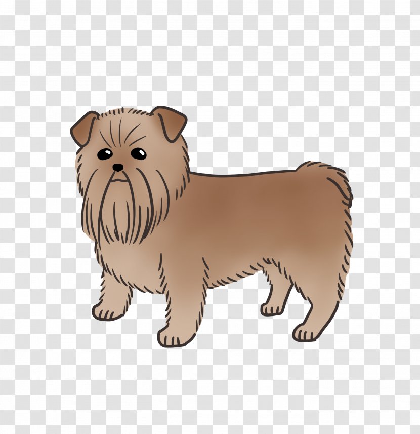 Yorkshire Terrier Norfolk Cairn Puppy Dog Breed - Companion Transparent PNG