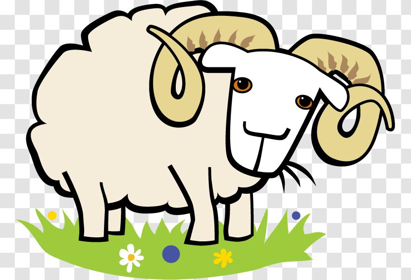 Sheep Brown's Folly Qurbani Aqiqah Cattle - Animal Transparent PNG