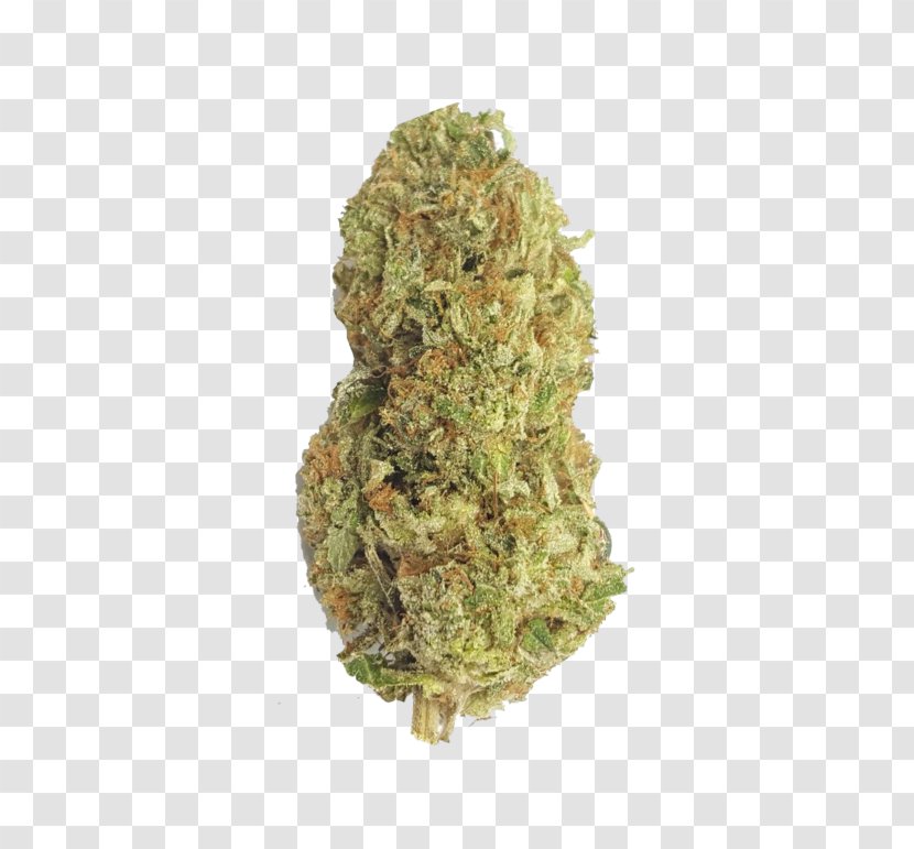 Gorilla Glue 4 Kush Cannabis Tetrahydrocannabinol - Plant Transparent PNG