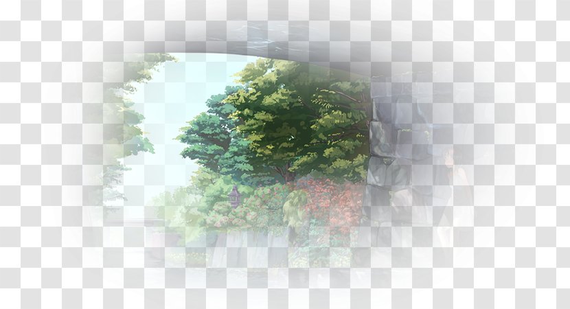 Desktop Wallpaper Computer Tree Sky Plc Transparent PNG
