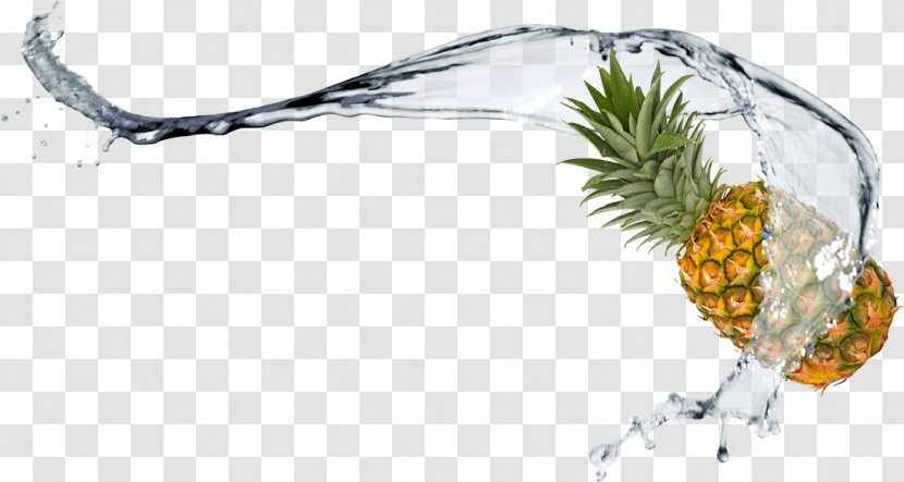 Pineapple TIFF - Plant - Spray And Transparent PNG