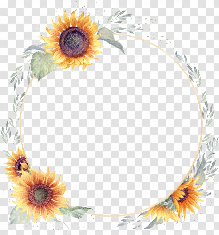 Picture Frame - Flower - Daisy Family Transparent PNG