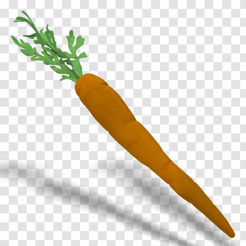 Carrot Blender Rendering Cycles Render - Texture Mapping Transparent PNG