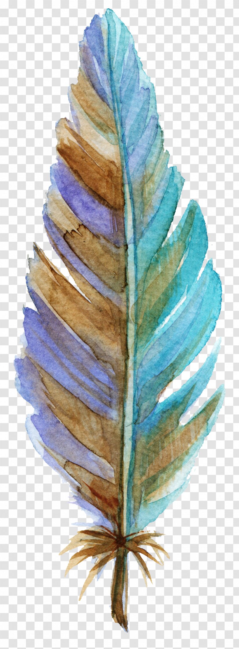 Leaf Feather Texture Mapping - Green - Blue Leaves Transparent PNG