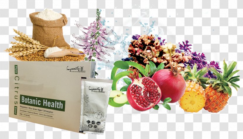 Dietary Supplement Health Superfood Cholesterol - Gift Basket Transparent PNG