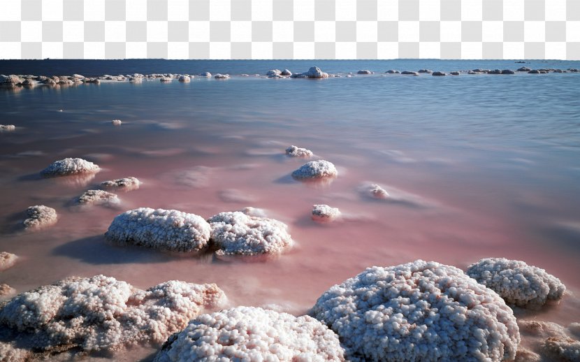 Western Antelope Island Great Salt Lake State Park Dead Sea Desert - Utah - And Fourteen Transparent PNG