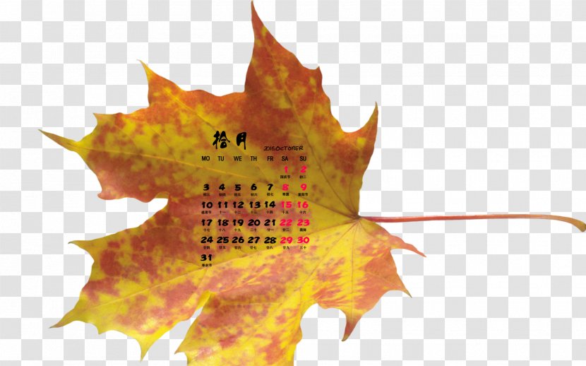 Maple Leaf Desktop Wallpaper Autumn Leaves - Image Resolution Transparent PNG
