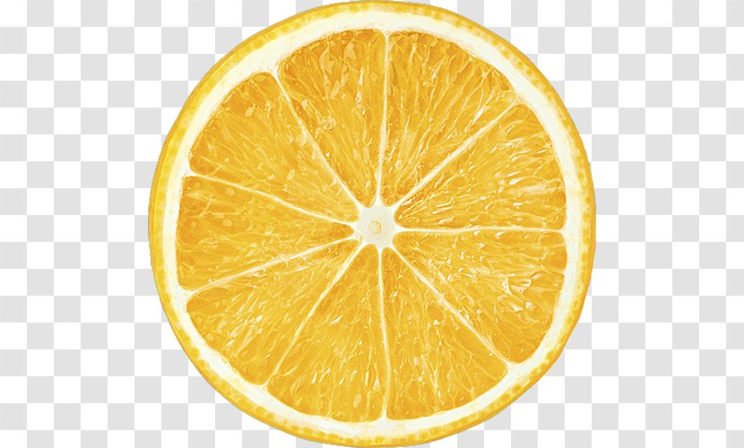 Citrus Lemon Fruit Citric Acid Citron - Bitter Orange Plant Transparent PNG
