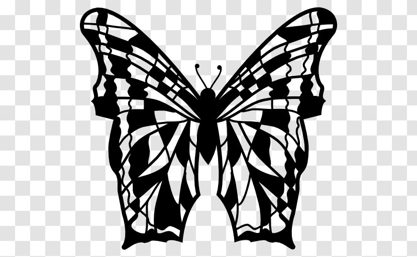 Monarch Butterfly Insect Moth Brush-footed Butterflies - Symmetry Transparent PNG