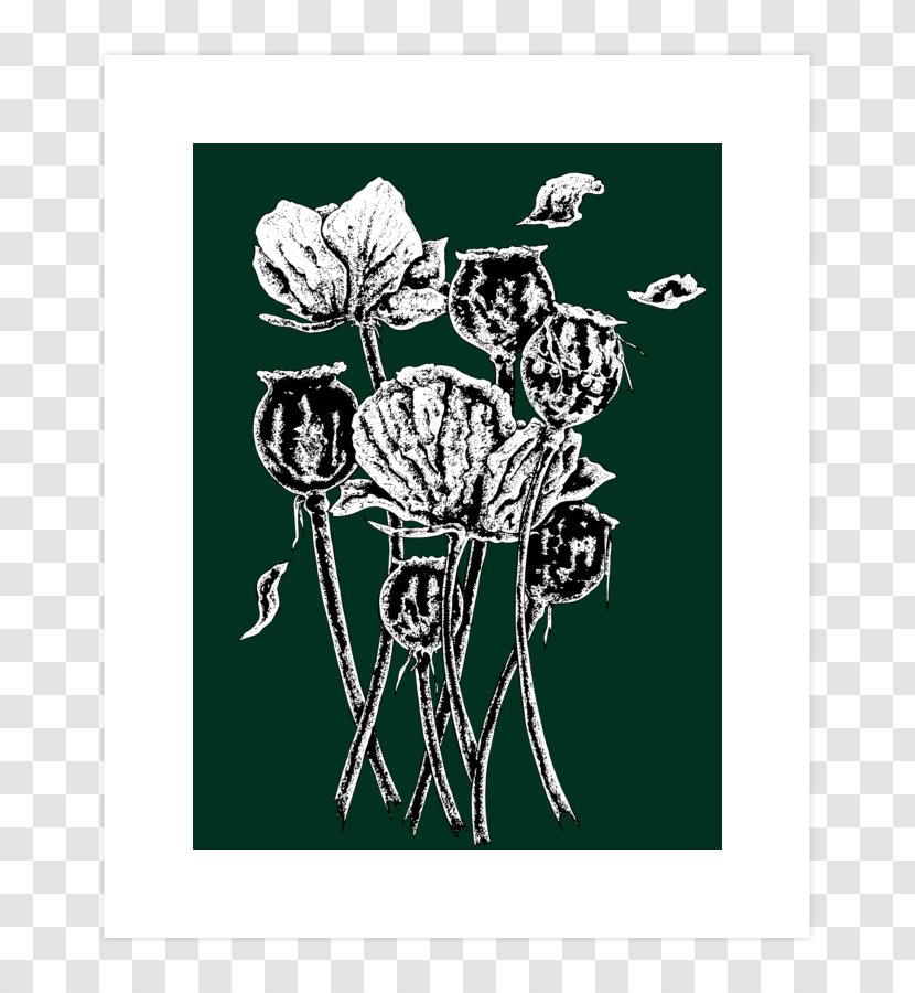 Book Illustration Opium Poppy Visual Arts - Black Transparent PNG