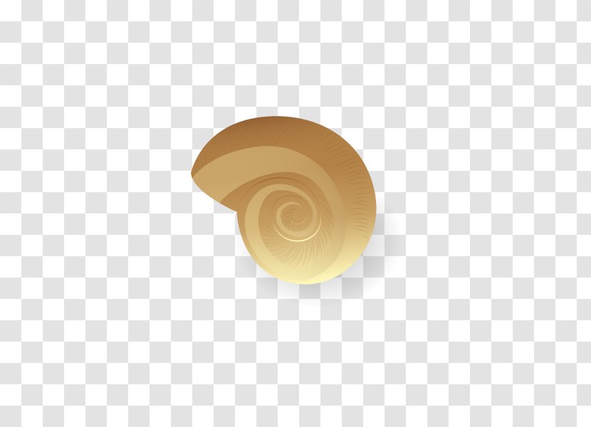 Euclidean Vector Sea Snail - Conch Transparent PNG