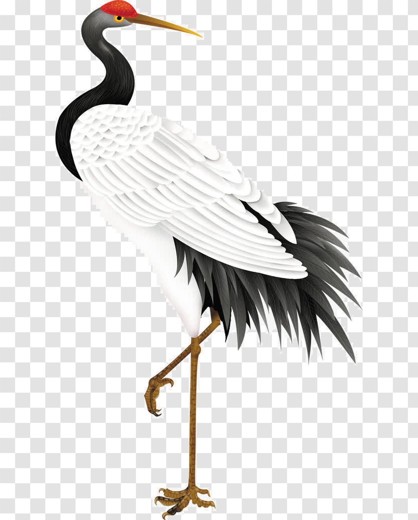 Red-crowned Crane Budaya Tionghoa Bird - Feather Transparent PNG