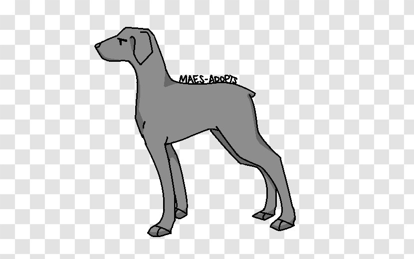 Dog Breed Italian Greyhound Puppy Line Art Transparent PNG