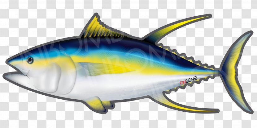 Thunnus Fish Yellowfin Tuna Atlantic Bluefin Decal - Organism Transparent PNG