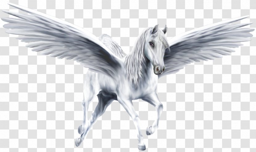 Pegasus Legendary Creature Unicorn - Wing Transparent PNG