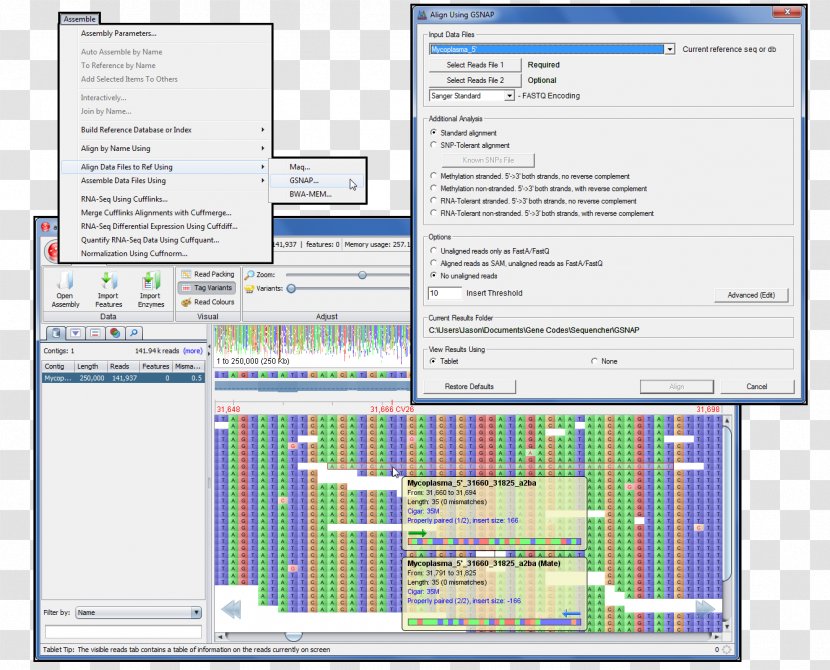 Massive Parallel Sequencing DNA Sequence Alignment Reference Genome - Data - Mycoplasma Transparent PNG