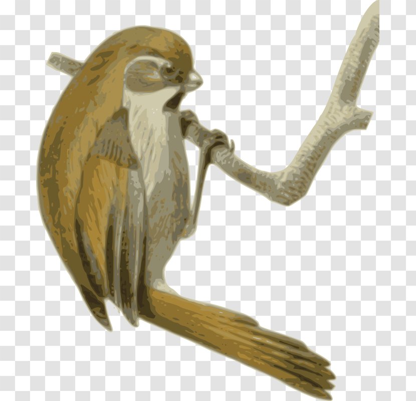 Golden Parrotbill Songbird Neognathae Clip Art - Beak - Pipeline Clipart Transparent PNG