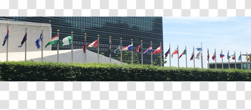 International Relations Career Flag Of The United Nations Job - Student - University Transparent PNG