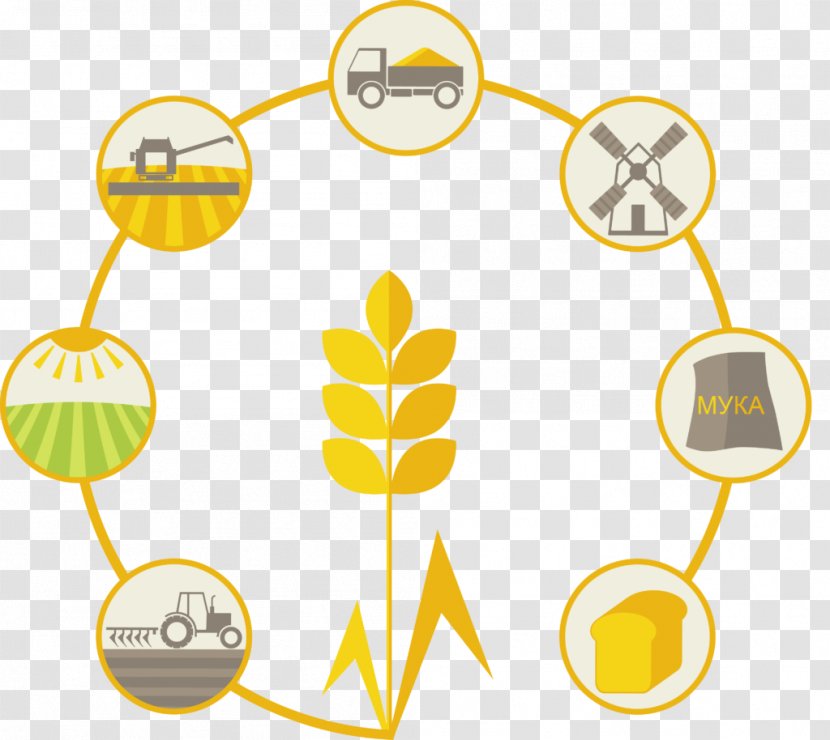 Cereal Agriculture Wheat Oat - Sowing - Timeline Transparent PNG