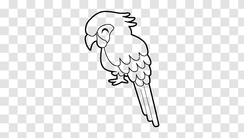 Parrot Bird Military Macaw Drawing Coloring Book - Frame Transparent PNG