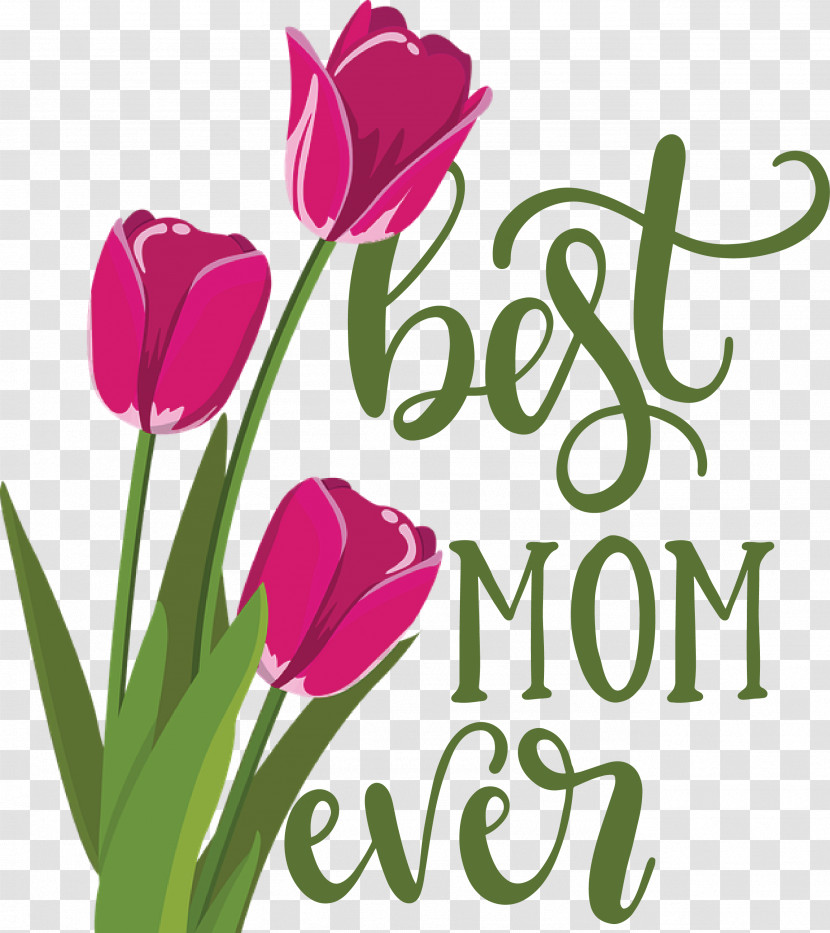 Mothers Day Best Mom Ever Mothers Day Quote Transparent PNG