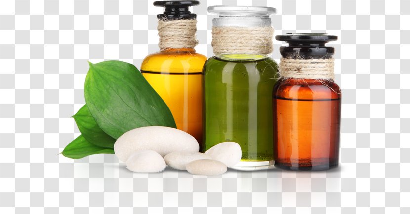 Jeanette Kößler Medicine Alternative Health Services Naturopathy Transparent PNG