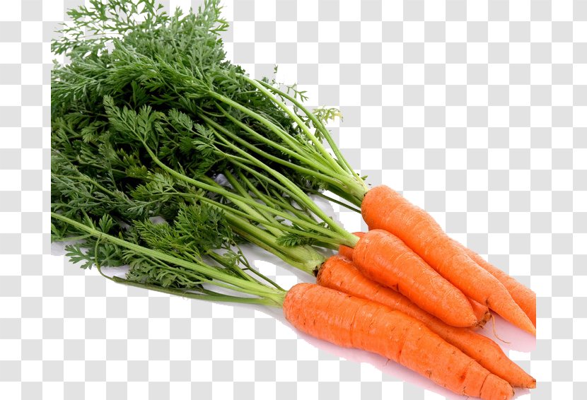 Carrot Juice Vegetable Baby - Fresh Carrots Transparent PNG