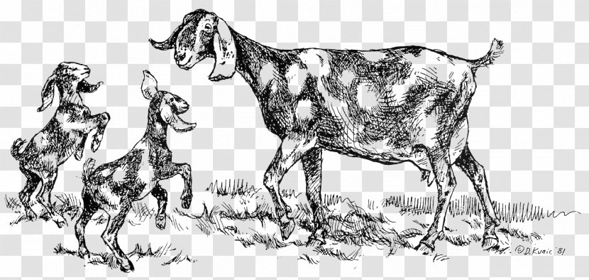 Goat Cattle Sketch Image - Wildlife Transparent PNG