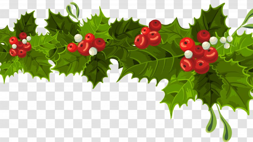 Common Holly Christmas Decoration Mistletoe Clip Art - Food - Decorating Cliparts Transparent PNG