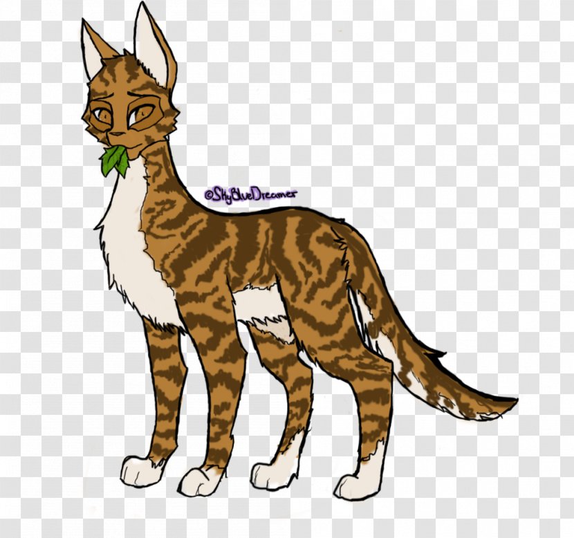 Whiskers Wildcat Warriors Drawing - Cat Transparent PNG