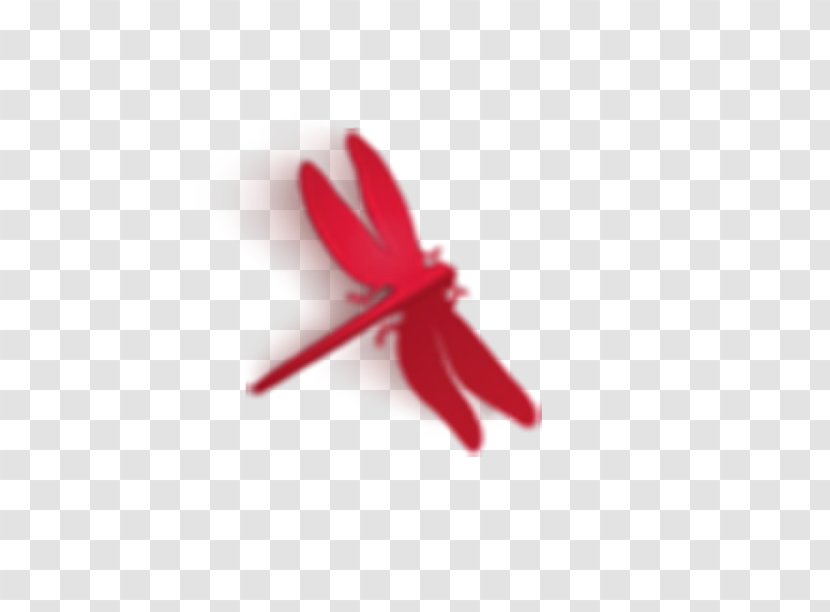 Download - Petal - Red Dragonfly Transparent PNG