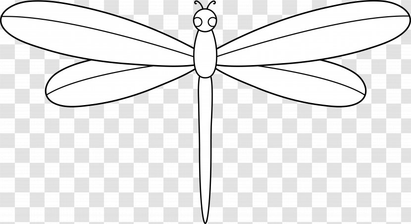 Butterfly Insect Line Symmetry Point - White - Dragonfly Outline Transparent PNG