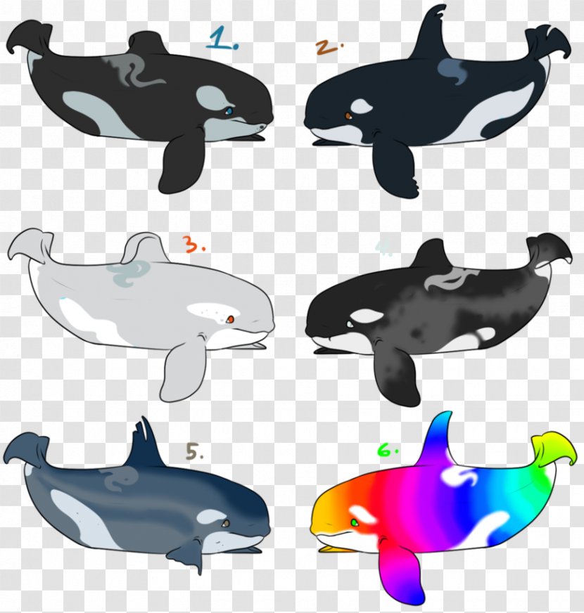 Dolphin Porpoise Cetacea Clip Art - Organism Transparent PNG