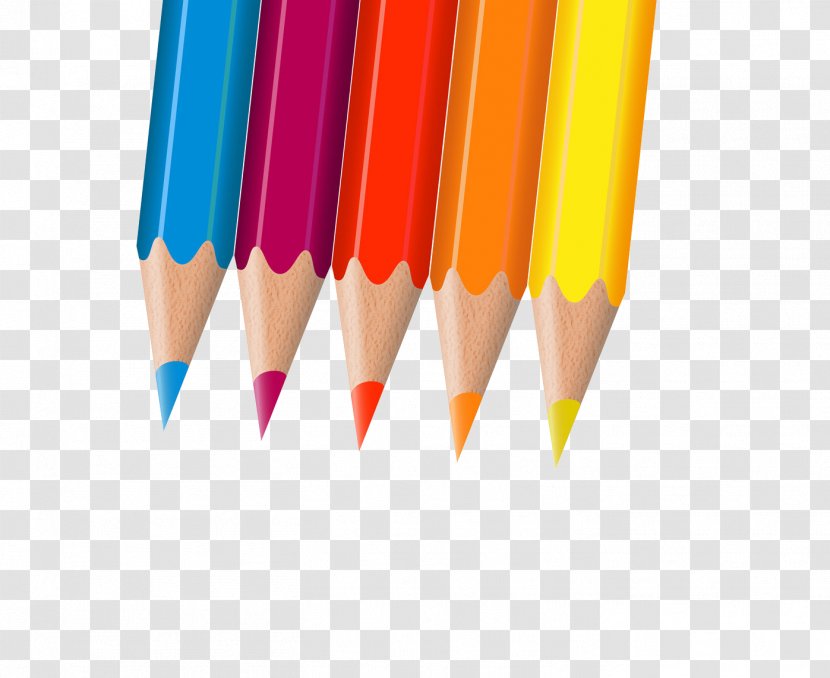 Colored Pencil - Drawing - Pencils Transparent PNG