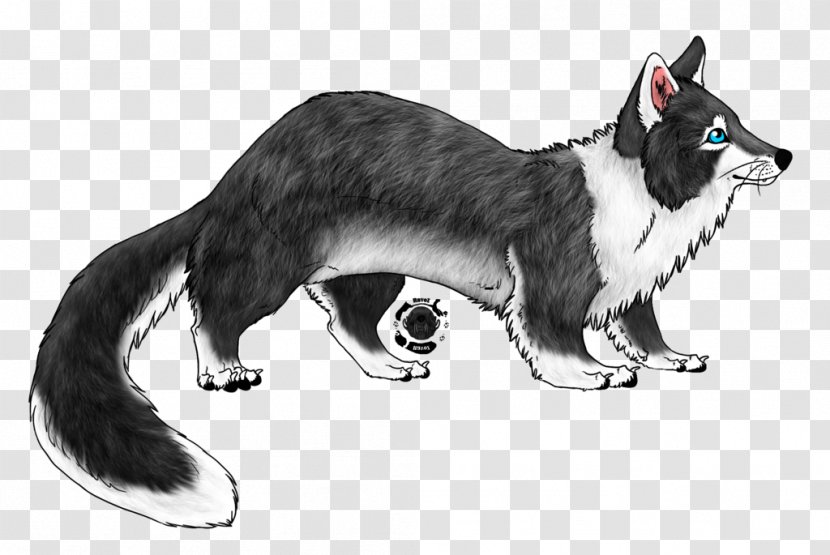 Whiskers Cat Dog Tiger Art Transparent PNG