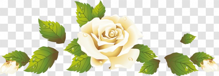 Garden Roses 神戸国際会館こくさいホール Flower - Painting - Animaatio Transparent PNG