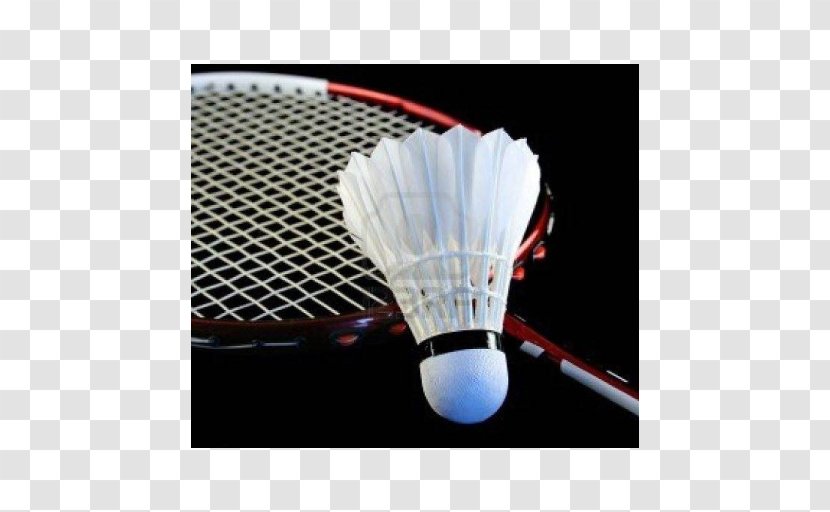 Badminton World Federation How To Play BWF Junior Championships Pakistan - Tennis Equipment And Supplies Transparent PNG