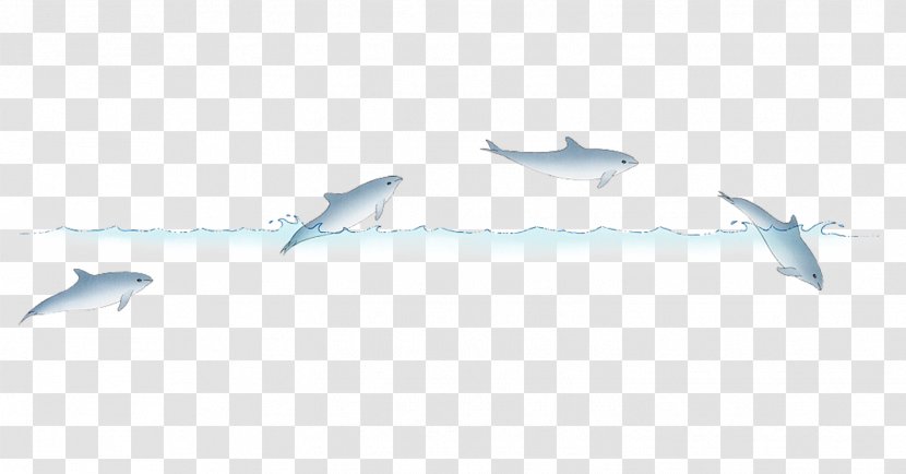 Stock Illustration Dolphin - Aquatic Mammal - Little Fresh Transparent PNG