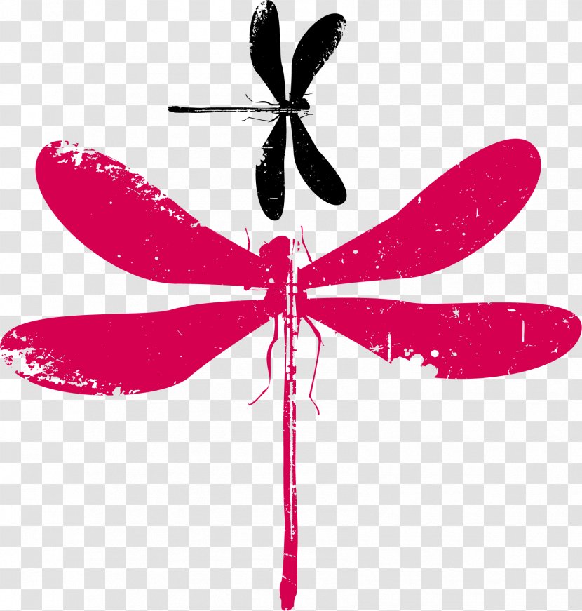 Insect Euclidean Vector Adobe Illustrator - Dragonfly Transparent PNG