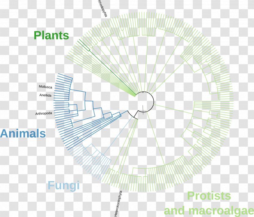 Product Design Line Angle Diagram - Sky - Protist Transparent PNG