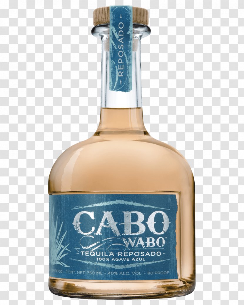Tequila Cabo Wabo Cantina Distilled Beverage Margarita - Espolon - Wine Transparent PNG