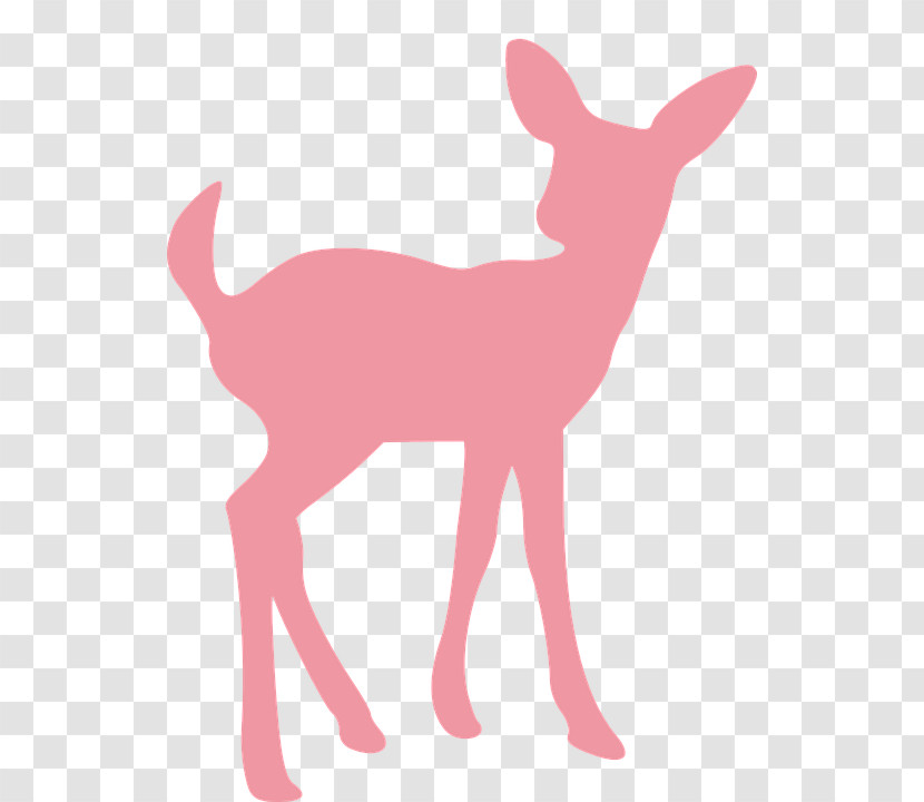 Deer Pink Tail Wildlife Roe Deer Transparent PNG